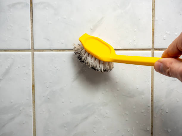 Best Mold Removal Near Me  in Wheatley Heights, NY