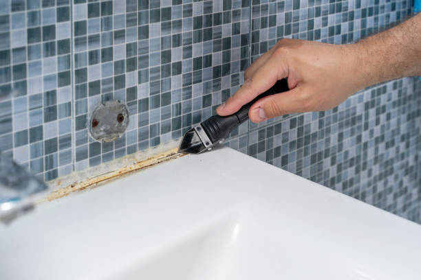 Best Local Mold Removal Service  in Wheatley Heights, NY