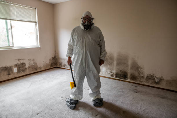 Best Mold Cleaning Services  in Wheatley Heights, NY